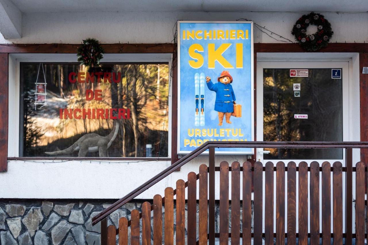 Pensiunea Ursuletul Paddington プレデアル エクステリア 写真