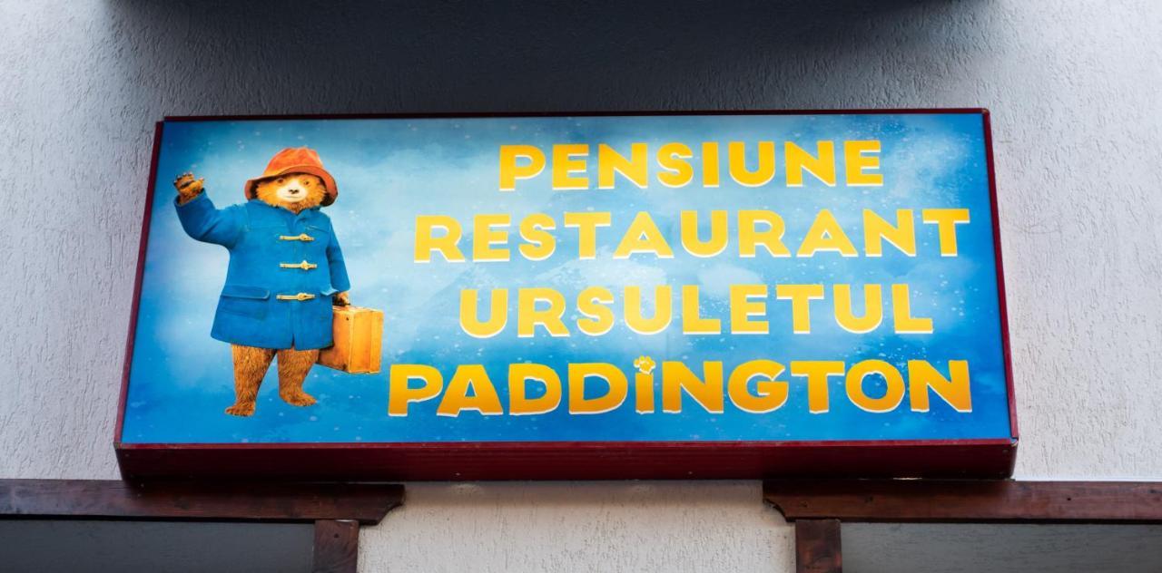 Pensiunea Ursuletul Paddington プレデアル エクステリア 写真